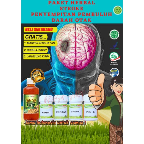 Naturindo paket obat herbal stroke penyempitan pembuluh darah otak