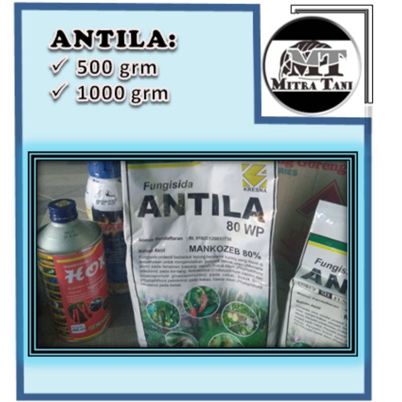 ANTILA