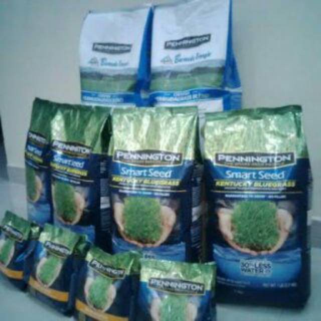 Biji Rumput Jepang 100g - Bibit rumput jepang - Benih rumput jepang