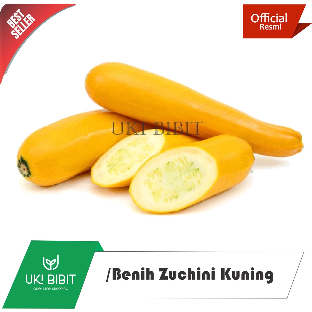 ( 1 Butir ) Benih Biji Zukini kuning panjang | Zucchini | Labu Cukini