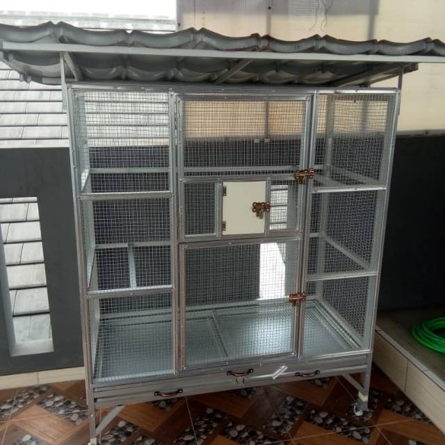 Kandang burung sunconure falk