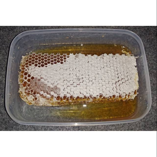 

Sarang Madu Madura Murni Barokah (Stok Terbatas)