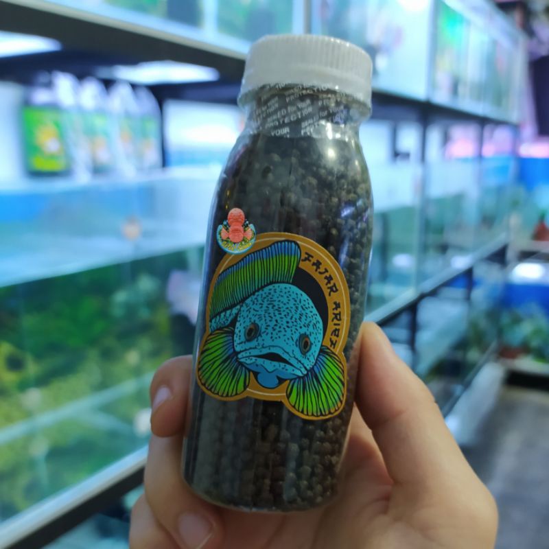 PELET VIRUS ORIGINAL FAJAR ARIEF GRADE AAA - PELLET CHANNA PAKAN IKAN DWAFT AURANTI PULCRA PULCHRA L