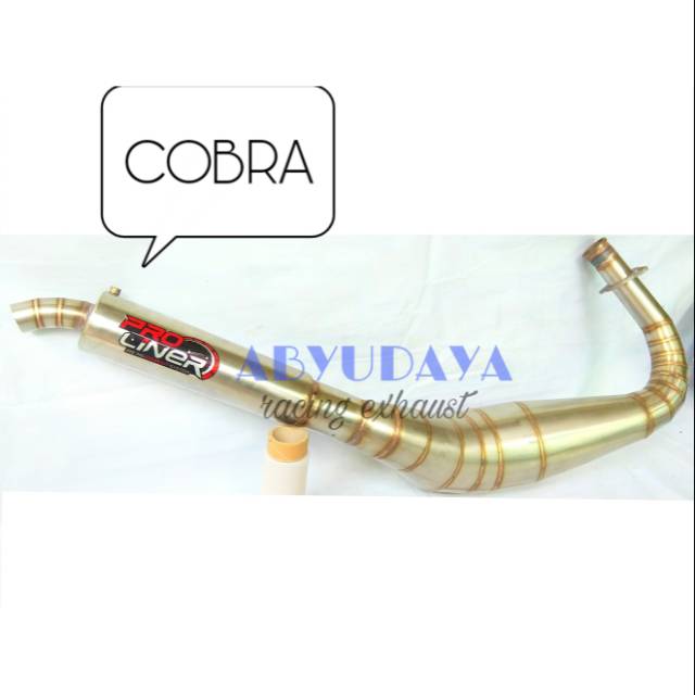 Knalpot RX king cobra Stainless