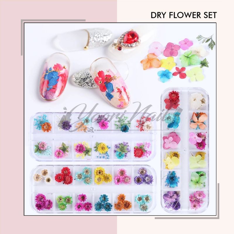 Dry flower nail art hiasan kuku bunga kering 12 warna dried flowers