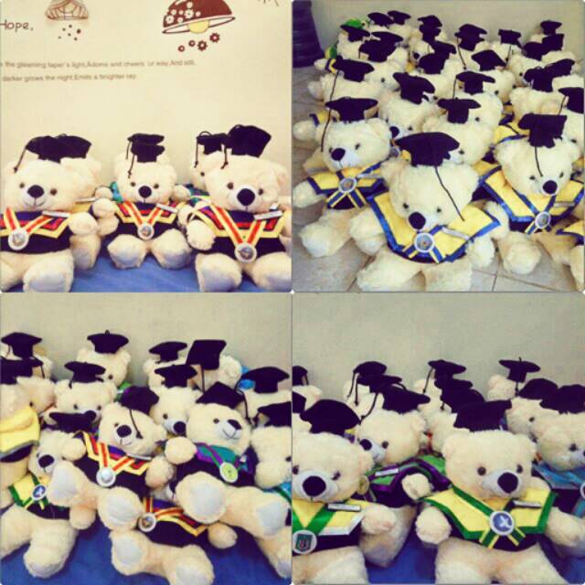 	 Boneka Wisuda Teddy Bear Medium Kado Hadiah Graduation Kampus Sidang skripsi Keranjang Basket grosir	