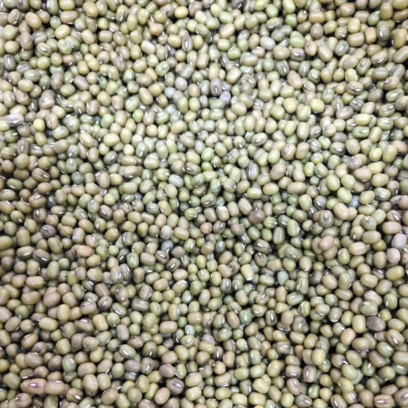 Kacang Hijau / Kacang ijo / Kacang Hijau Australia 250gr