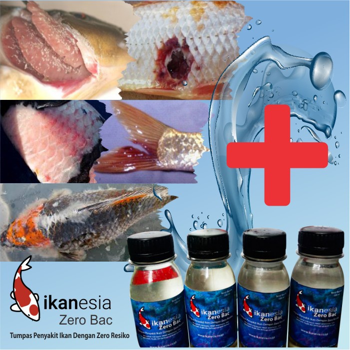 Obat Ikan Koi Paling Ampuh Zero Bac - 100 ml