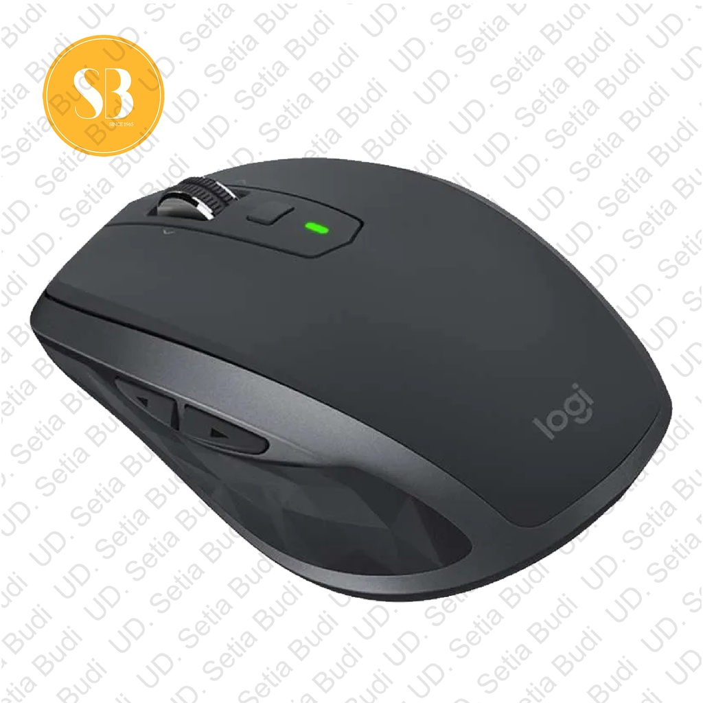 Mouse Logitech MX Anywhere 2S Wireless