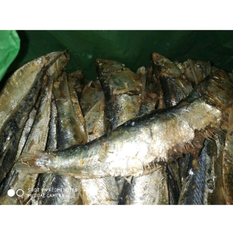 

RNS COD TERMURAH IKAN ASIN REBUS GURIH