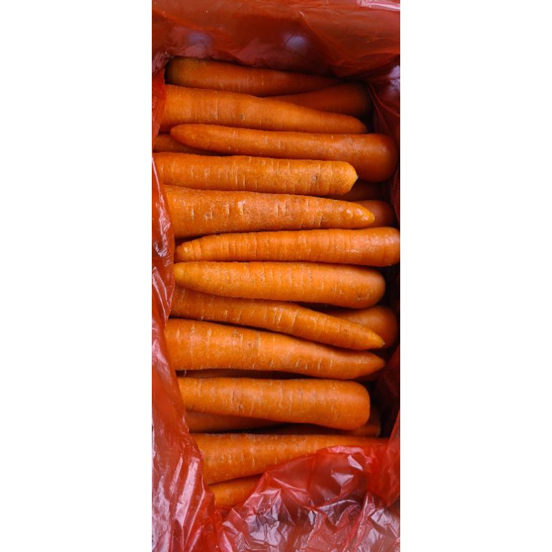 

Wortel Brastagi (KG)