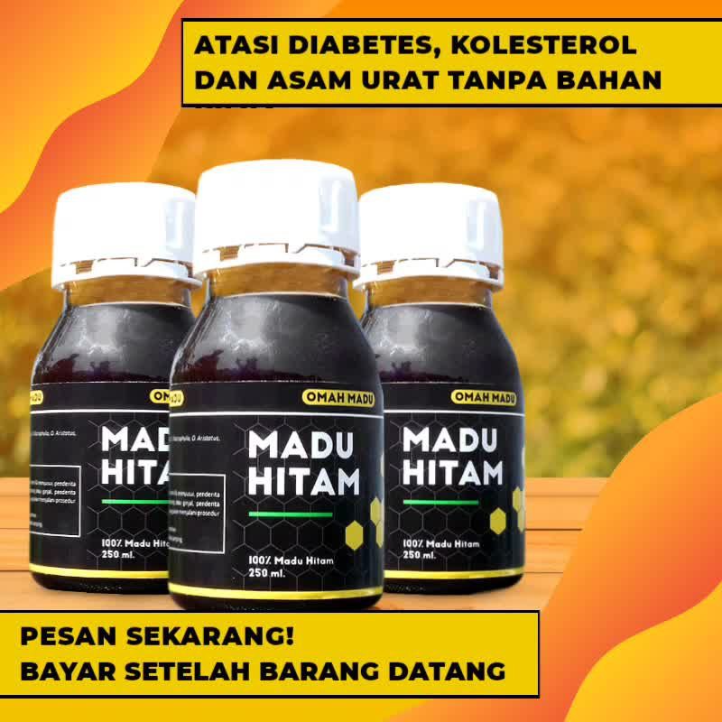 

madu hitam lebah hutan