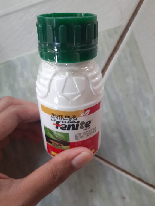 Insektisida Fenite 150 Od Dari Petrokimia Kayaku 100ml