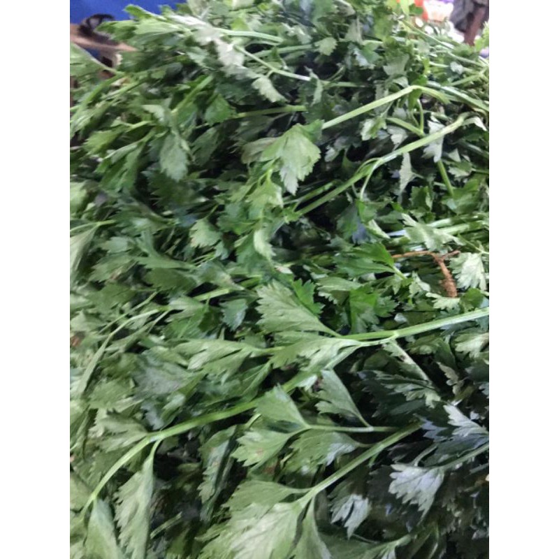 

Seledri lokal (250gr)