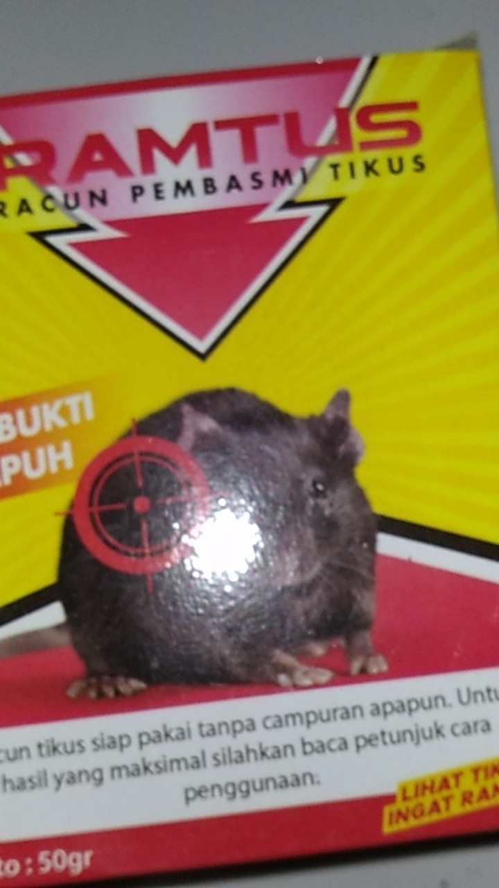 Racun Tikus Ramtus Asli Alami Mati Kering Tidak Bau Pembasmi Pengusir Tikus Super Paling Ampuh 4pack