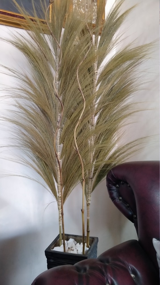 Paket Termurah Homedecor Rayung Rustic Dekorasi Rayung Kering Bunga Rayung Panjang Rayung Natural