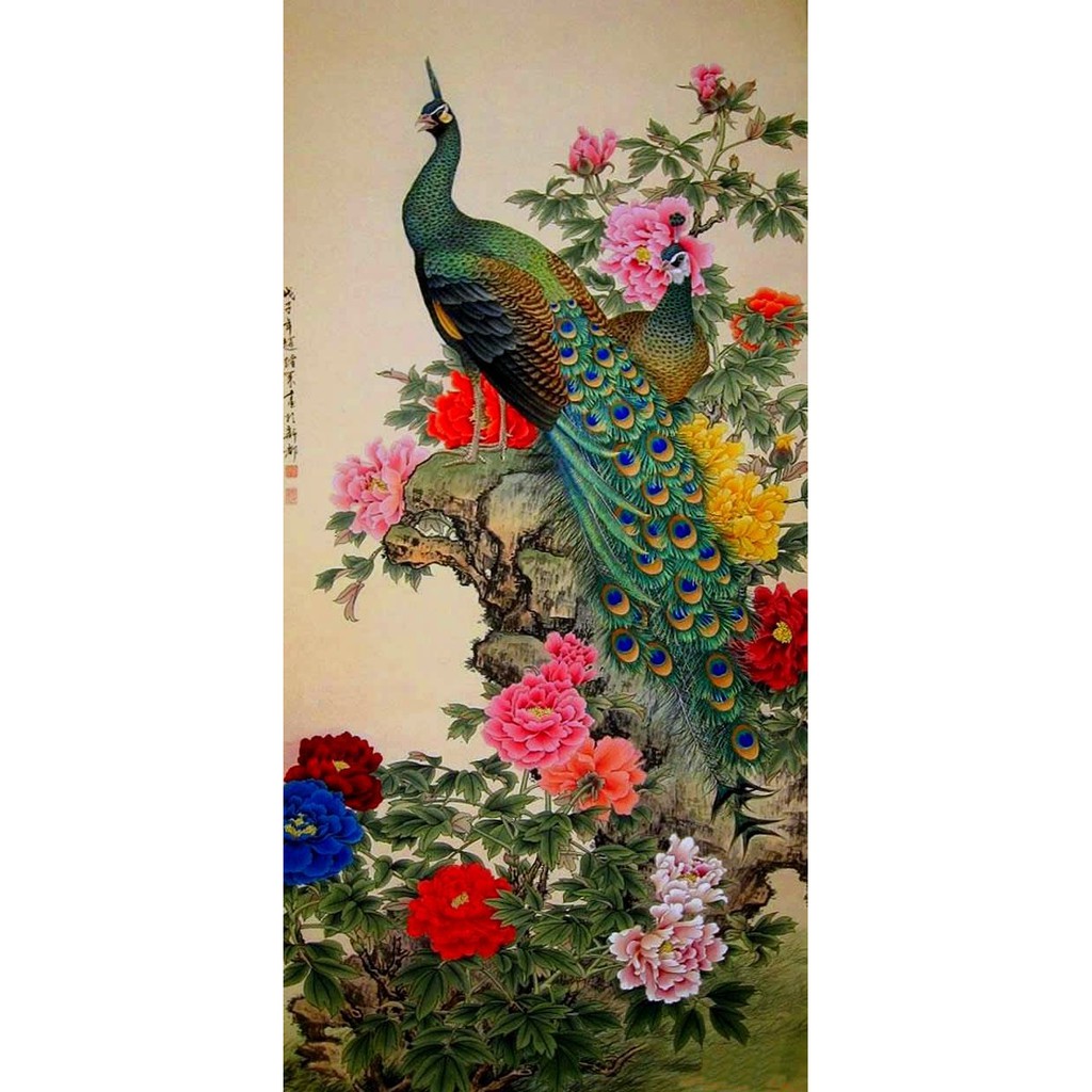 530+ Gambar Burung Merak Indah Terbaik