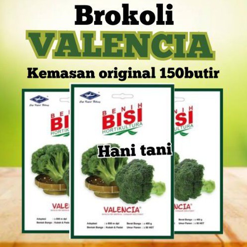 BENIH BIBIT TANAMAN PERTANIAN SAYURAN BROKOLI HIDROPONIK