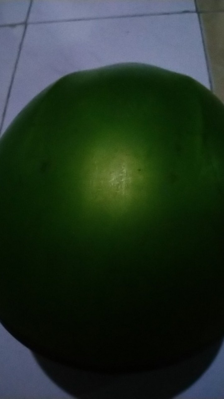 Peci Songkok Batik Anak Sampai Dewasa Tinggi 8,9,10