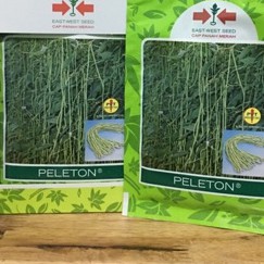 Benih Kacang Panjang Peleton isi 250 butir