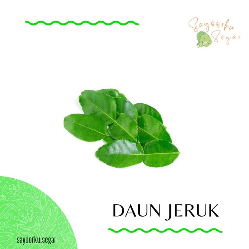 

KIRIM BESOK Daun Jeruk / Daun Salam