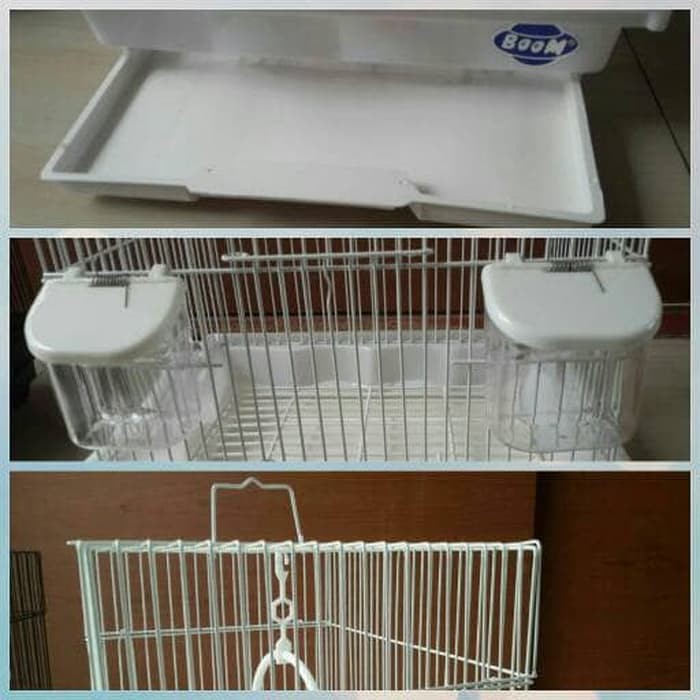 Promo Kandang Burung Kenari Blackthroat Sanger Mozambik Dll Merk