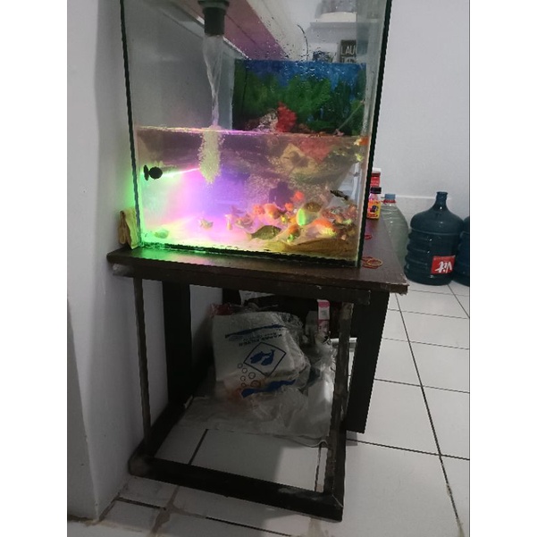 rak besi Holo aquarium murah
