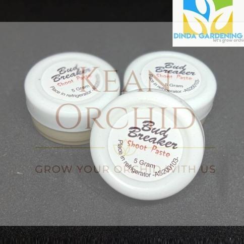 BUD BREAKER HORMON PENUMBUH TUNAS SALEP ZAT PENGATUR TUMBUH ANGGREK