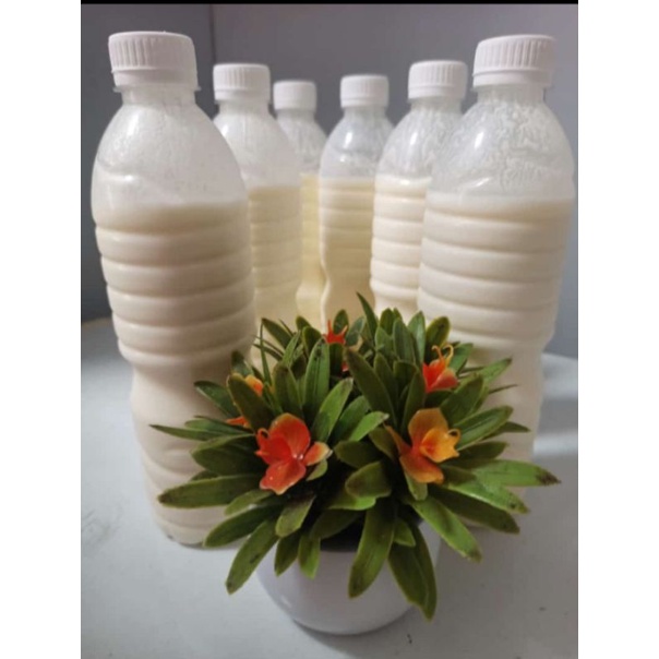 

BK_SUSU KEFIR SAPI (10 LITER) 100% asli