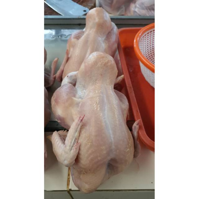 

Ayam Karkas / Ayam Ekoran