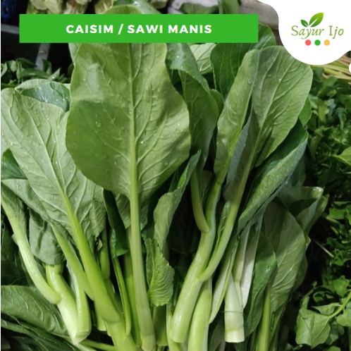 

Caisim / Sawi Manis 500 Gram Fresh Choy Sum Sayur Hijau Segar