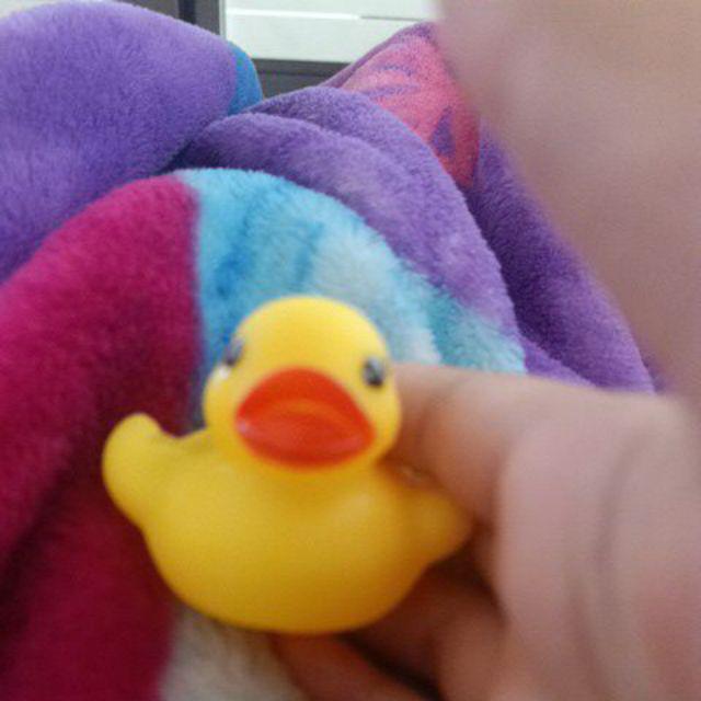 Mainan Anak Bebek Karet Isi 6 Pcs Untuk Kolam Baby Spa {{s01}}