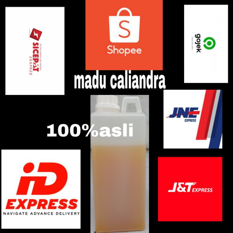 

madu caliandra