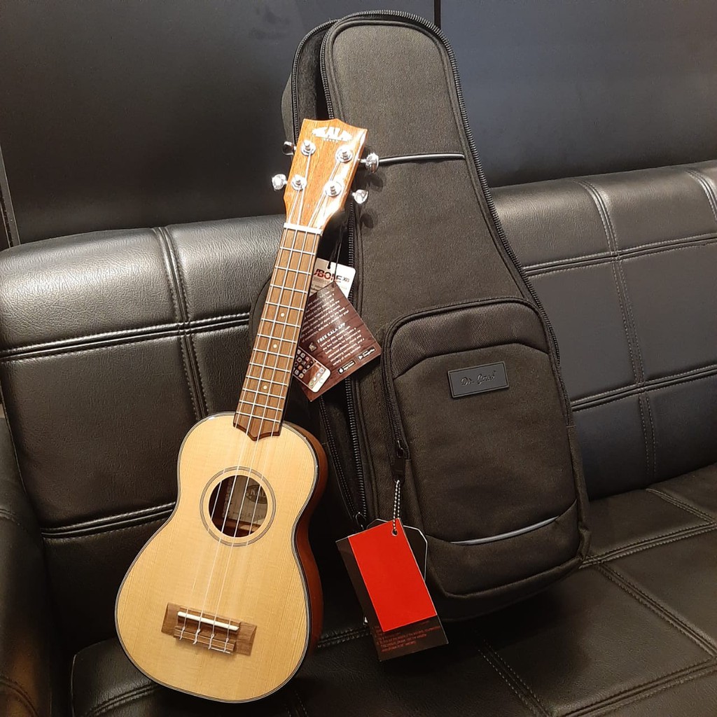 Gigbag Ukulele Soprano Dr Case Portage