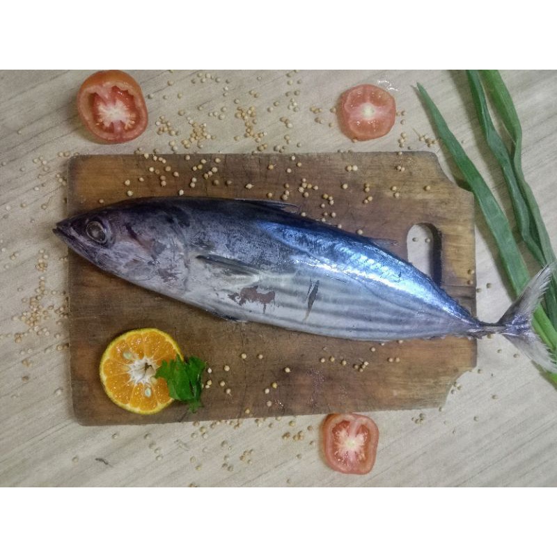 

ikan cakalang 1 kg