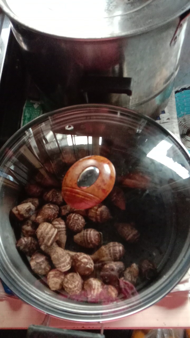 Tutup Panci Kaca Dengan Kaki, Diameter Kaki/id = +/- 23.8 Cm (24 Cm) + Knop Oval Motif Kayu