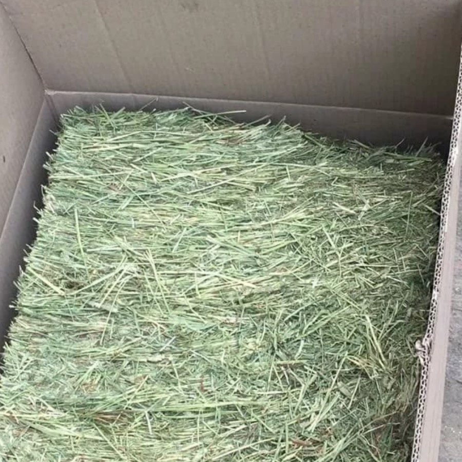 Timothy Hay 200gr Rumput Kering Makanan Kelinci Timoty Repack 200 gr