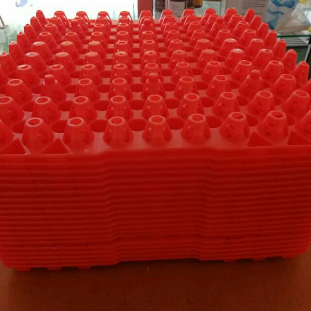 Egg tray puyuh / Tray puyuh plastik merah