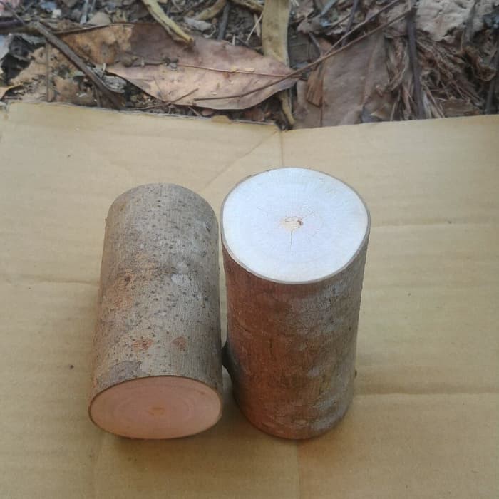 Medium wood log tinggi 10 cm diameter 6-7 cm dekorasi craft