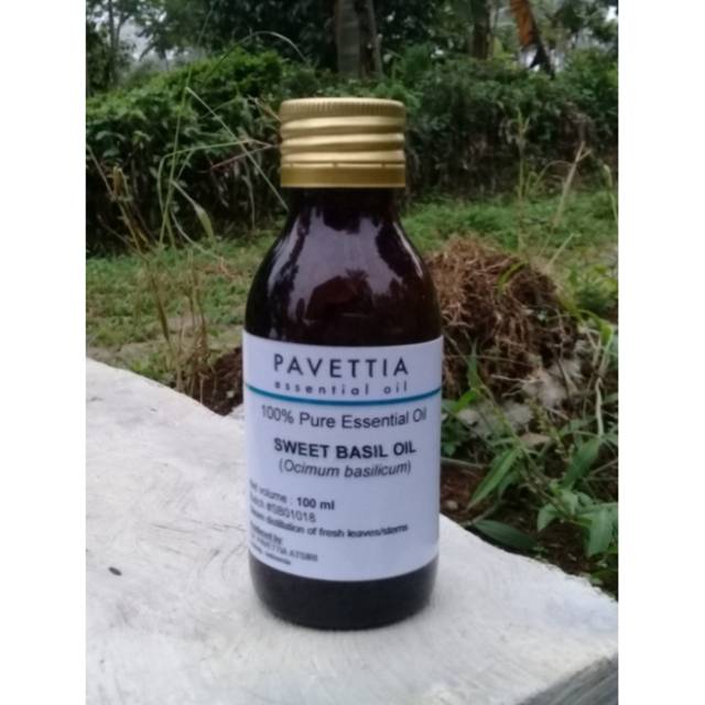 Jual 100 Ml - Sweet Basil Essential Oil / Minyak Atsiri Selasih (Ocimum ...