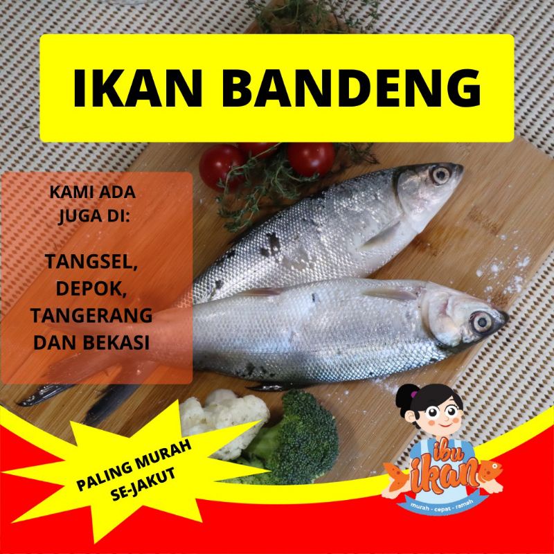 

IKAN BANDENG SEGAR 1 KG COCOK UNTUK CABUT DURI PRESTO ASAP