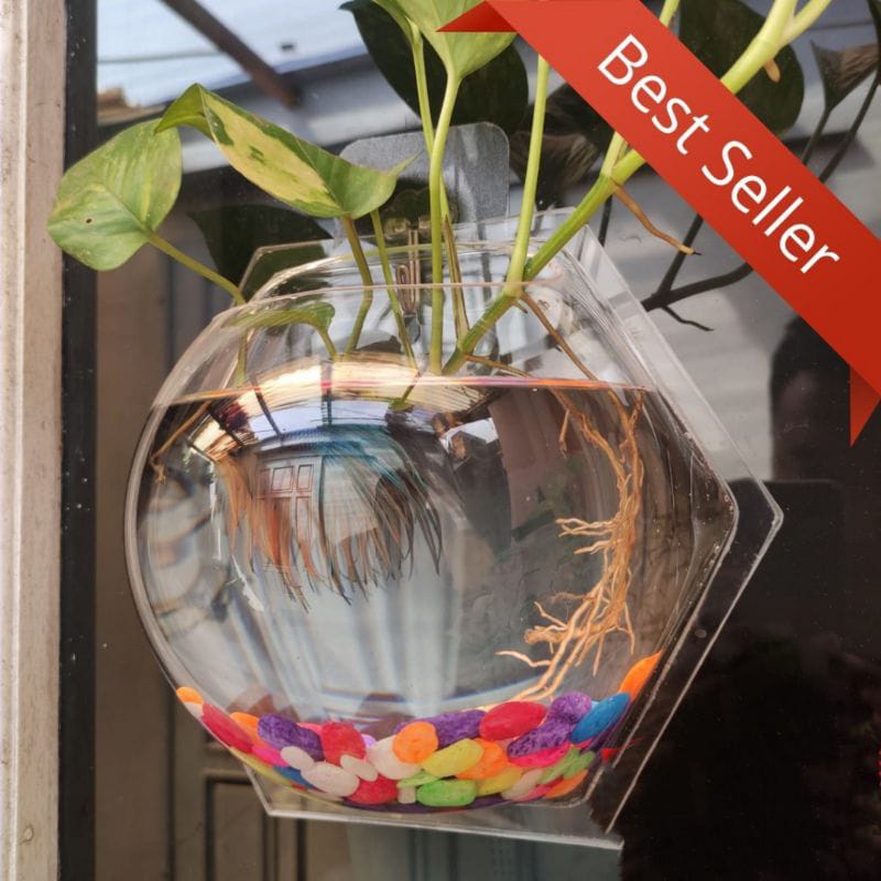 AKUARIUM AQUARIUM  GANTUNG DINDING HEXAGONAL DIAMTER BESAR 20 CM