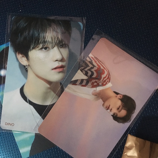 [Ready] HMV Japan Fallin Flower Dino