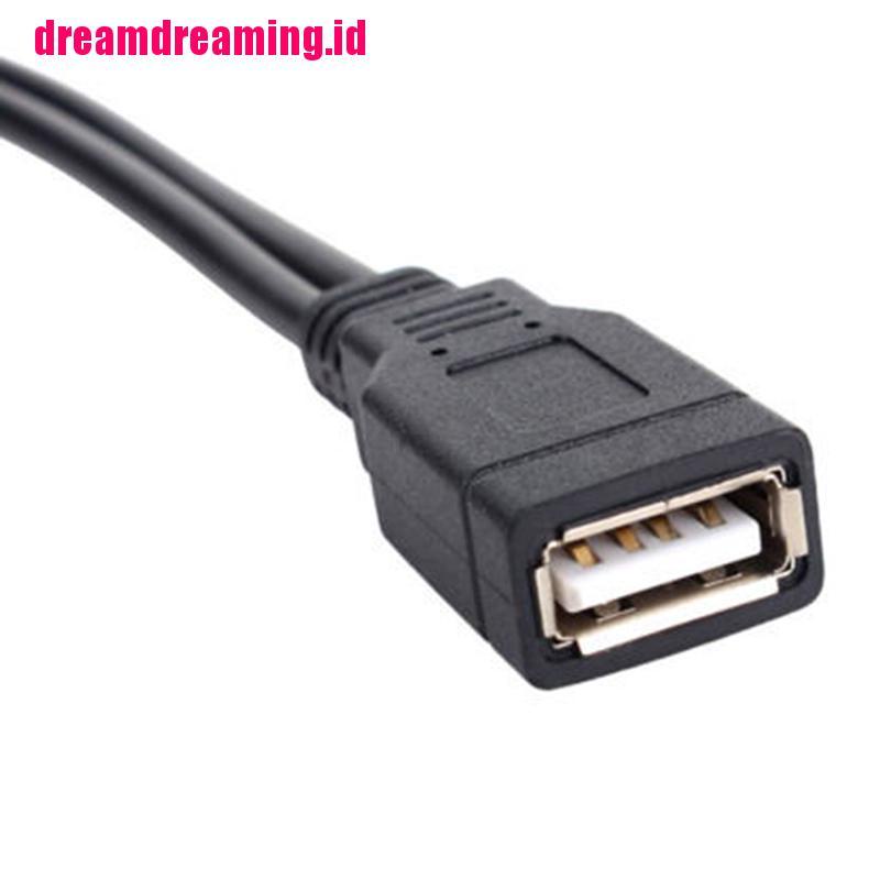 (dreamdreaming.id) Kabel Data / Charger USB 2.0 1 Female Ke 2 Male Bentuk Y