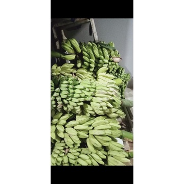 pisang kepok putih sisir 1kg burung kicau