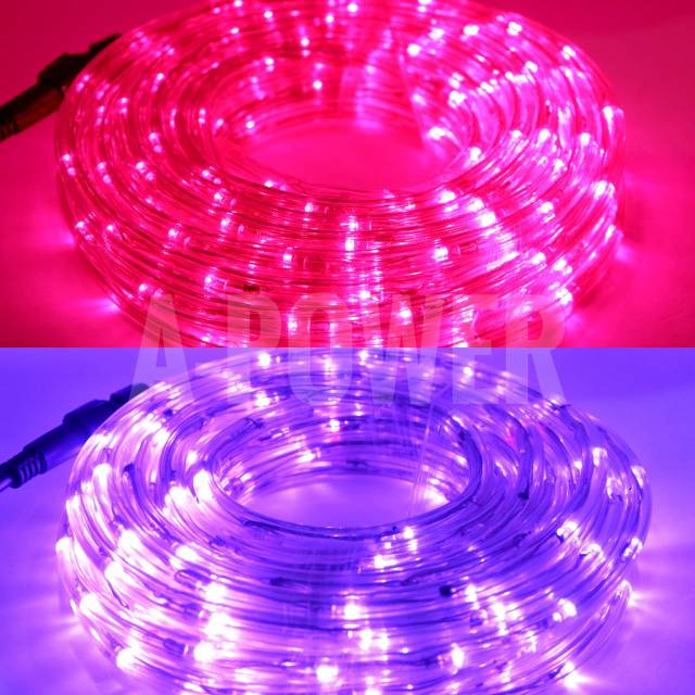 Hi Light - Lampu LED Strip Selang 10m (Pink/Ungu)