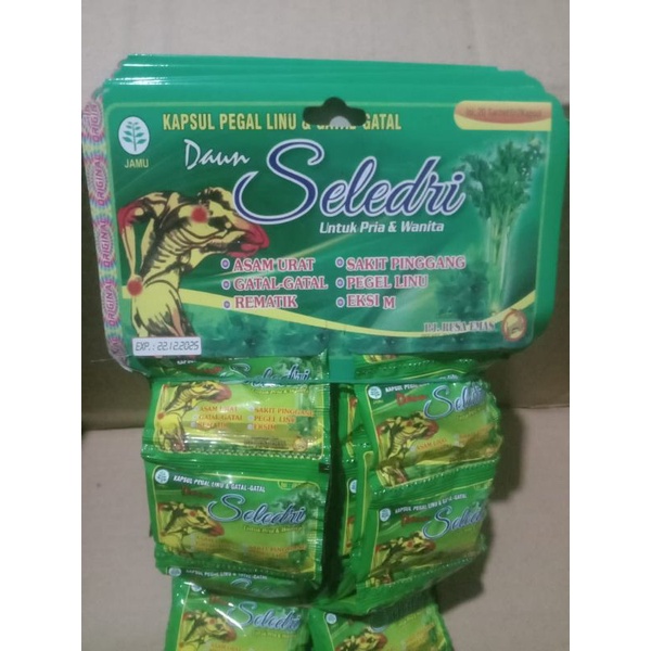 

SELEDRI kapsul asam urat