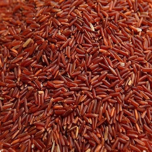 Jual Victory Seed Gram Benih Biji Gabah Padi Beras Cokelat Merah Oryza Rufipogon Brownbeard