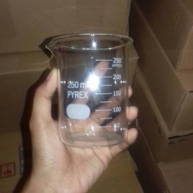 Jual Beaker Glass PYREX 250 Ml | Shopee Indonesia