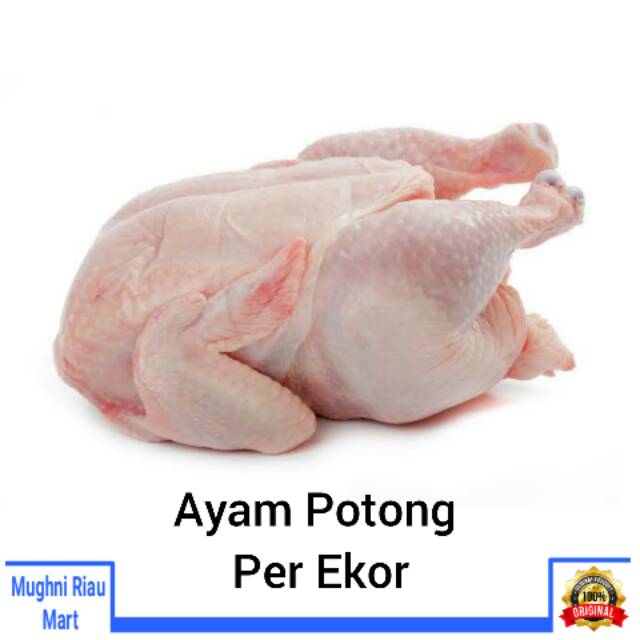 

Ayam Potong Per Ekor Sekitar 1,1Kg - 1,2Kg